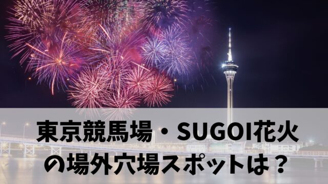東京競馬場・SUGOI花火
